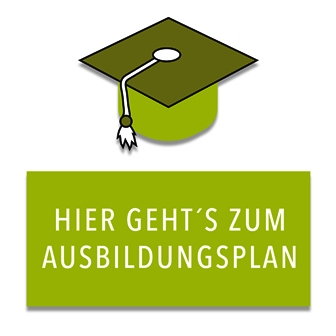Systemischer Berater